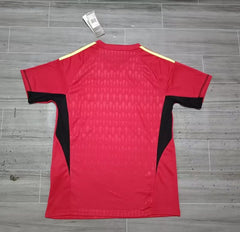 Retro Argentina national 2022 Goalkeeper 3stars red