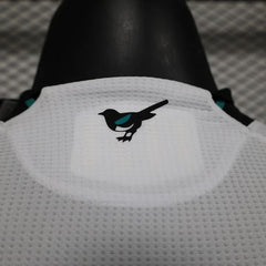 Newcastle United 2024-2025 away player