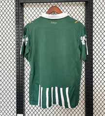 Palmeiras 2025-2026 special edition