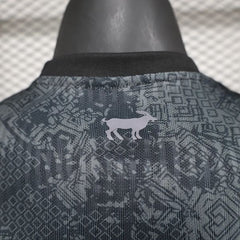 Argentina national 2024 special edition player