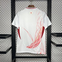 Japan national 2024 away game