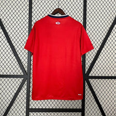 Lille OSC 2024-2025 home game