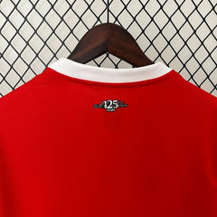 AC Milan 2024-2025 home game