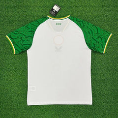 Ireland national 2025-2026 away game