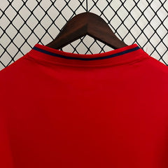 Retro Spain national 2010 home game