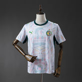 Senegal 2026 Home Fan - WCFOOTBALLSUIT
