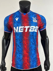 Crystal Palace home game player