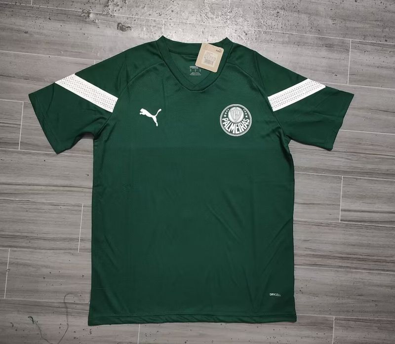 Sociedade Esportiva Palmeiras 2023-2024 v2