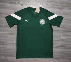 (Ретро)Sociedade Esportiva Palmeiras 2023-2024 v2