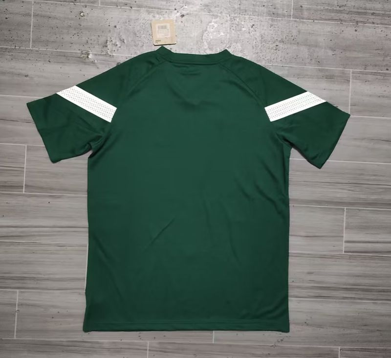 (Ретро)Sociedade Esportiva Palmeiras 2023-2024 v2