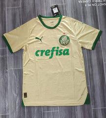 Sociedade Esportiva Palmeiras 2024-2025 v1