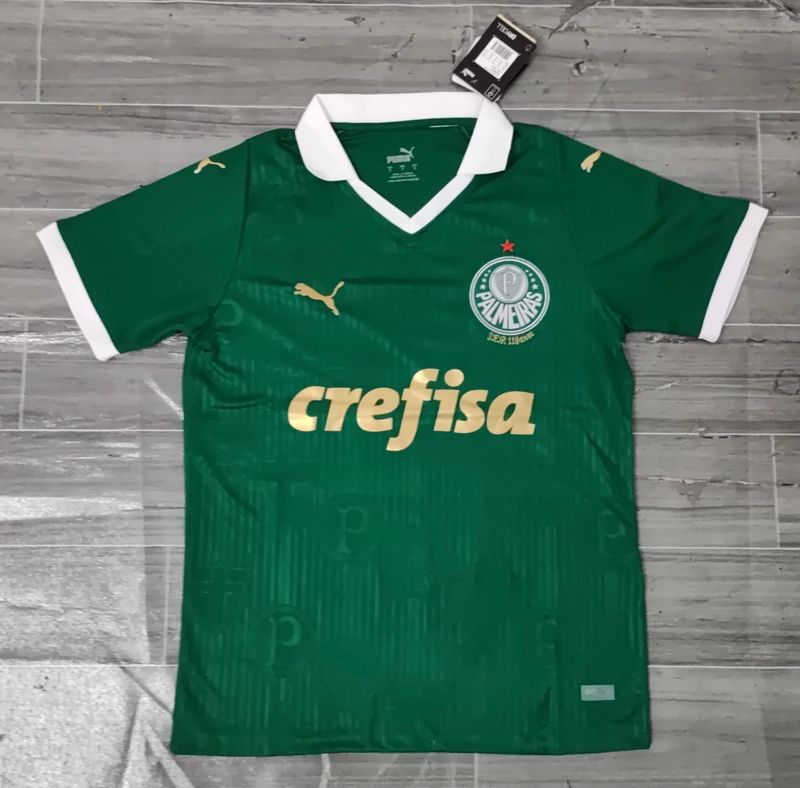 Sociedade Esportiva Palmeiras 2024-2025 v3