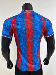 Crystal Palace home game player