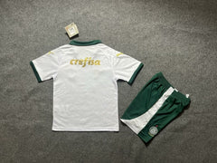 Kid Size Sociedade Esportiva Palmeiras away game