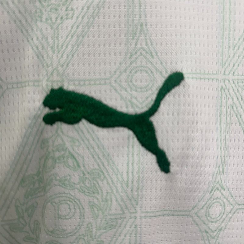 Kid Size Palmeiras 2025-2026 away game