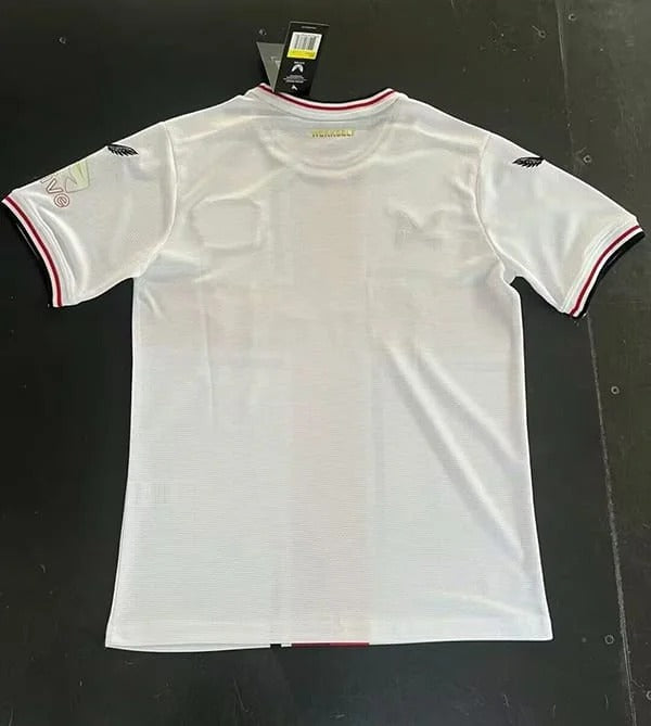 Leverkusen 2024-2025 special edition