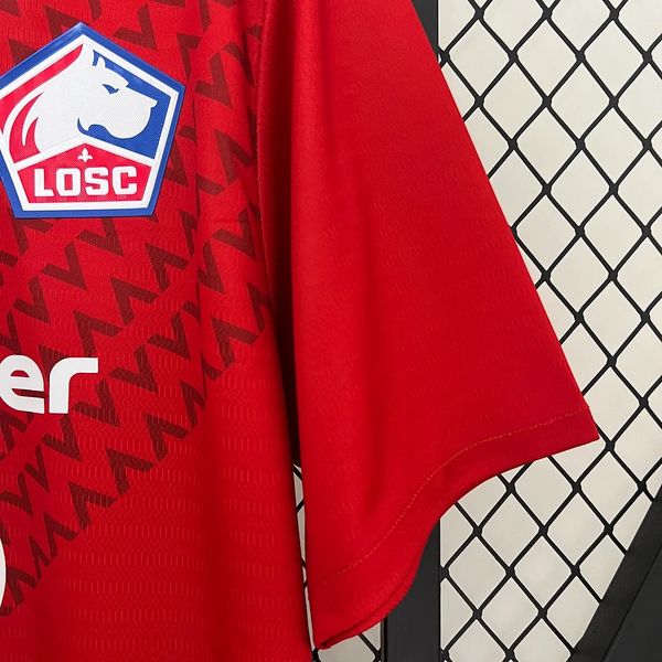Lille OSC 2024-2025 home game