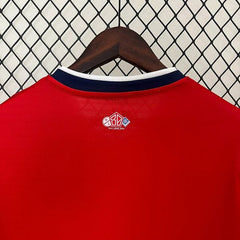 Lille OSC 2024-2025 home game