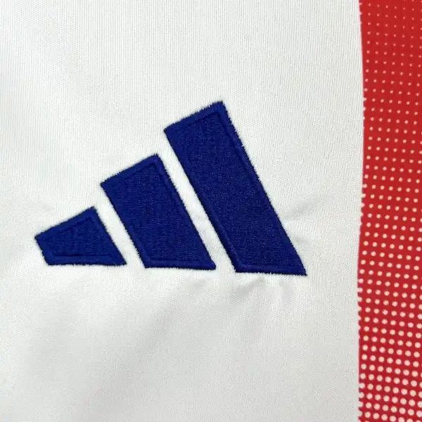 Olympique Lyonnais 2024-2025 home game