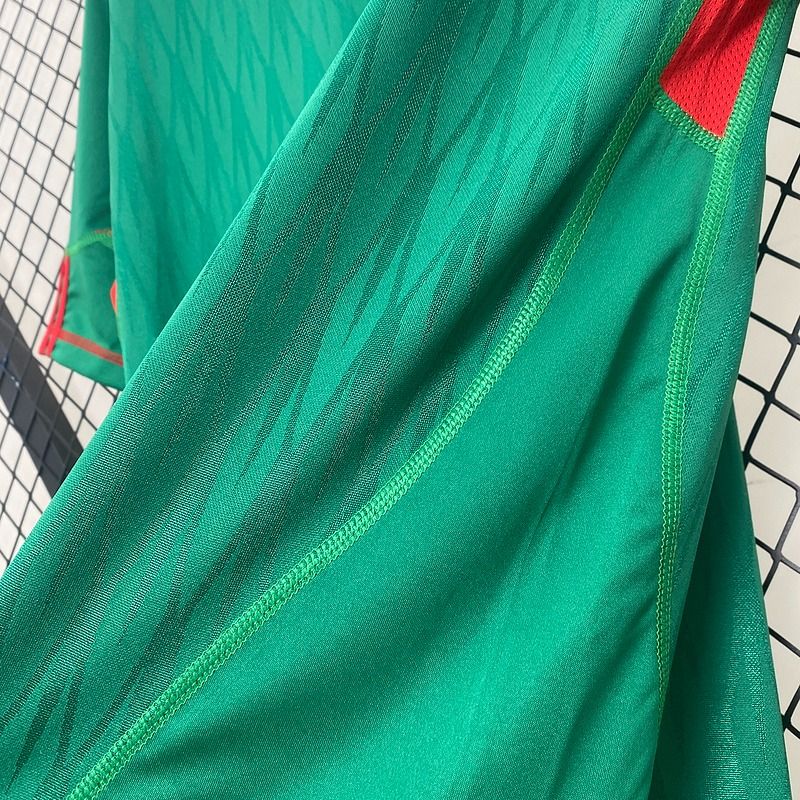 Retro Mexico national 2010 home