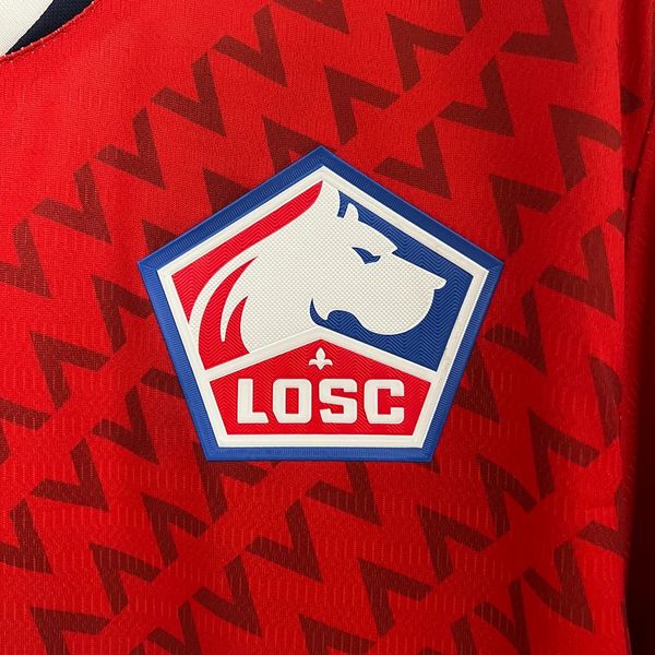 Lille OSC 2024-2025 home game