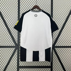 Newcastle United 2024-2025 home game