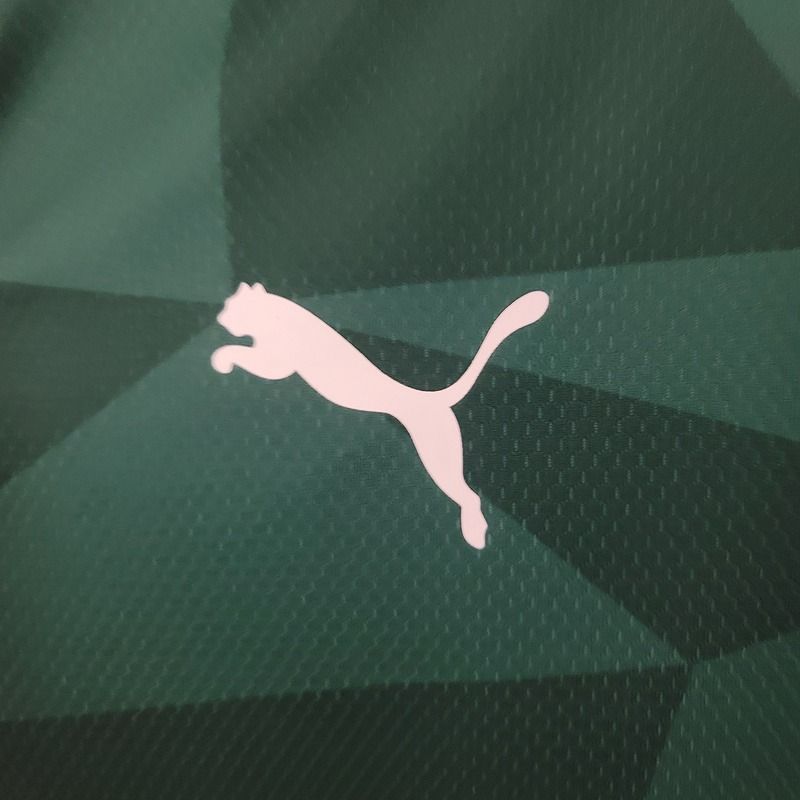 Palmeiras 2023-2024 home game