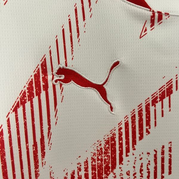 RB Leipzig 2024-2025 home game