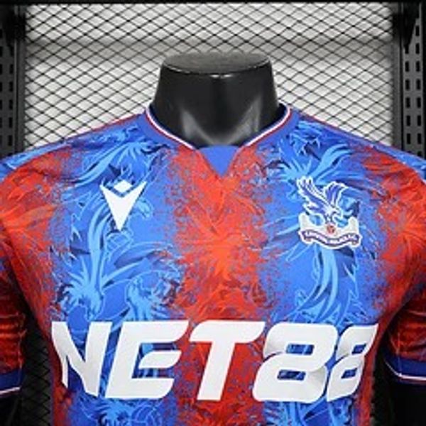 Crystal Palace 2024-2025 home game player