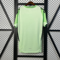 SL Benfica 2025-2026 training shirt