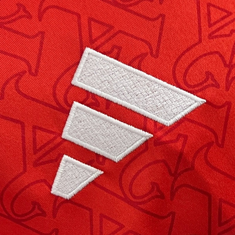 Arsenal FC 2025-2026 home