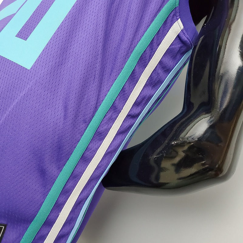 Hornets Hayward#20 Purple NBA Jersey