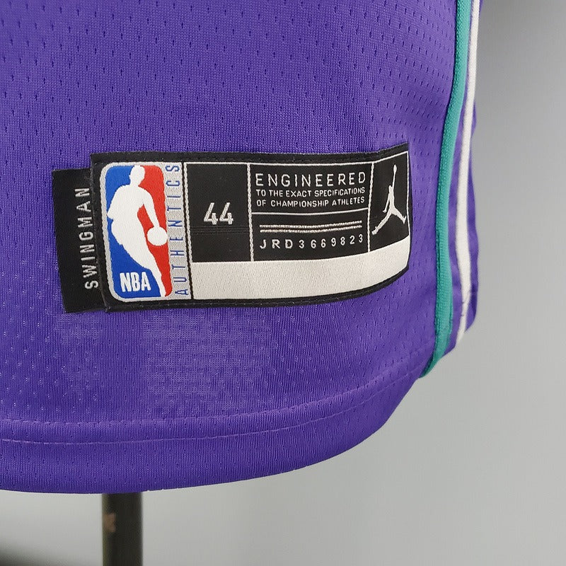 Hornets Hayward#20 Purple NBA Jersey