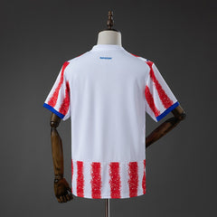 Paraguay 2026 Home Fan