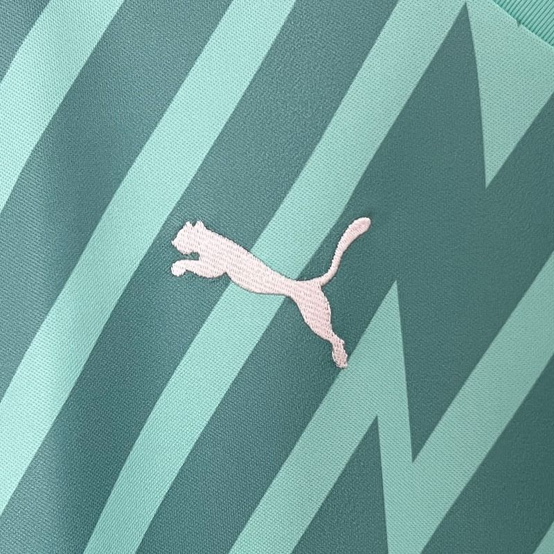 Palmeiras 2024 - 2025 goalkeeper - WCFOOTBALLSUIT