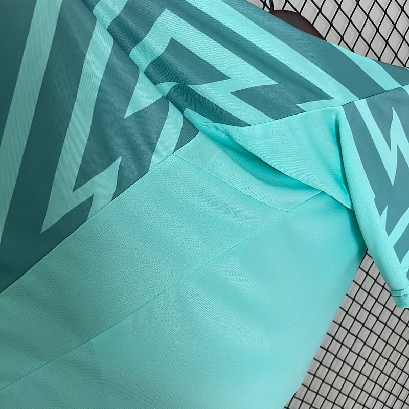 Palmeiras 2024 - 2025 goalkeeper - WCFOOTBALLSUIT