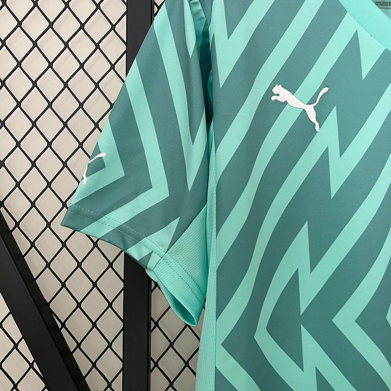 Palmeiras 2024 - 2025 goalkeeper - WCFOOTBALLSUIT
