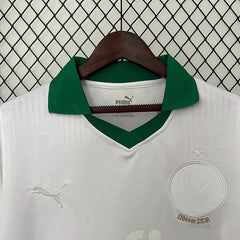Palmeiras 2024 - 2025 special edition - WCFOOTBALLSUIT