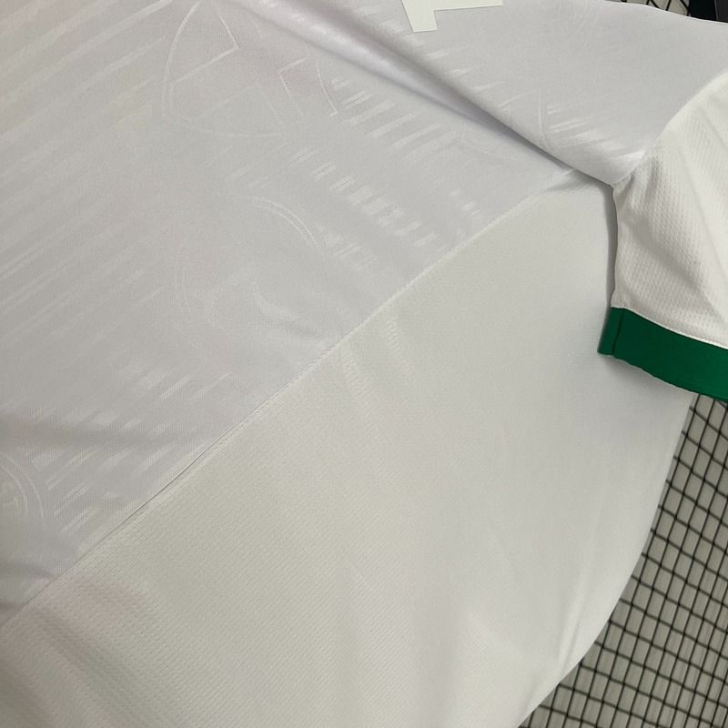 Palmeiras 2024 - 2025 special edition - WCFOOTBALLSUIT