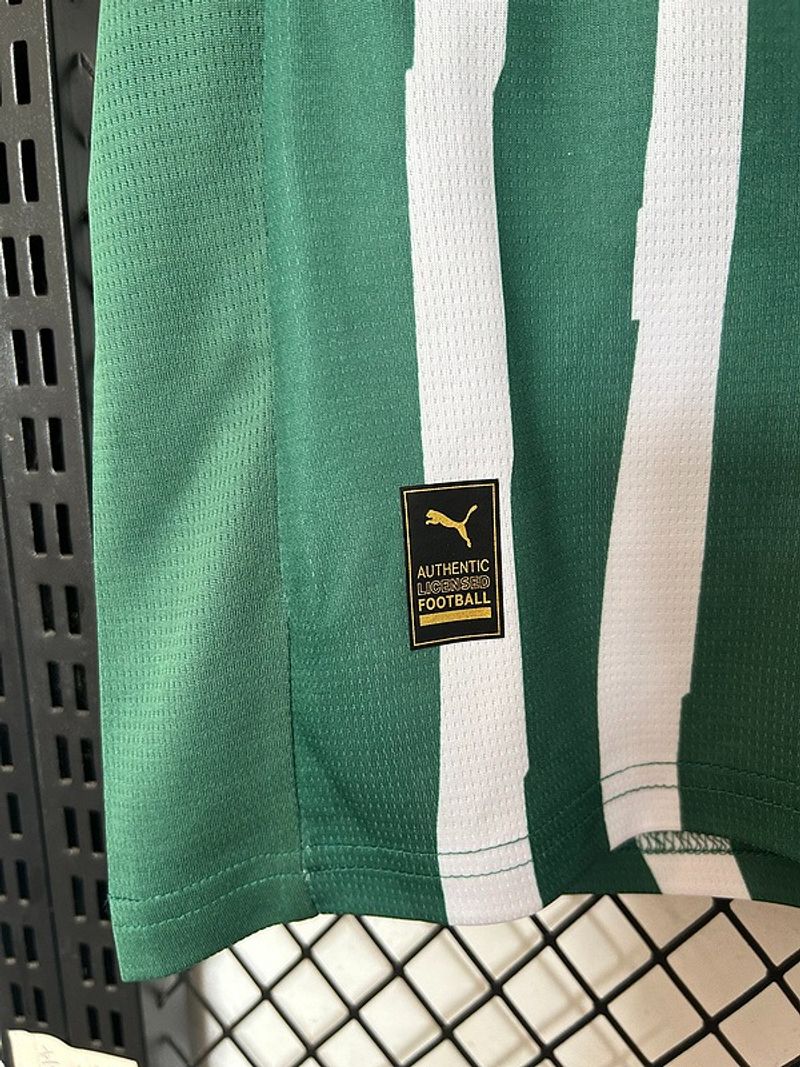 Palmeiras 2025 - 2026 special edition - WCFOOTBALLSUIT