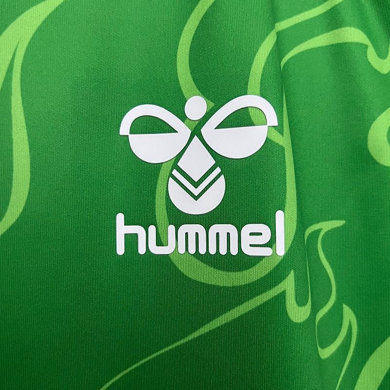 Real Betis 2025 - 2026 special edition - WCFOOTBALLSUIT