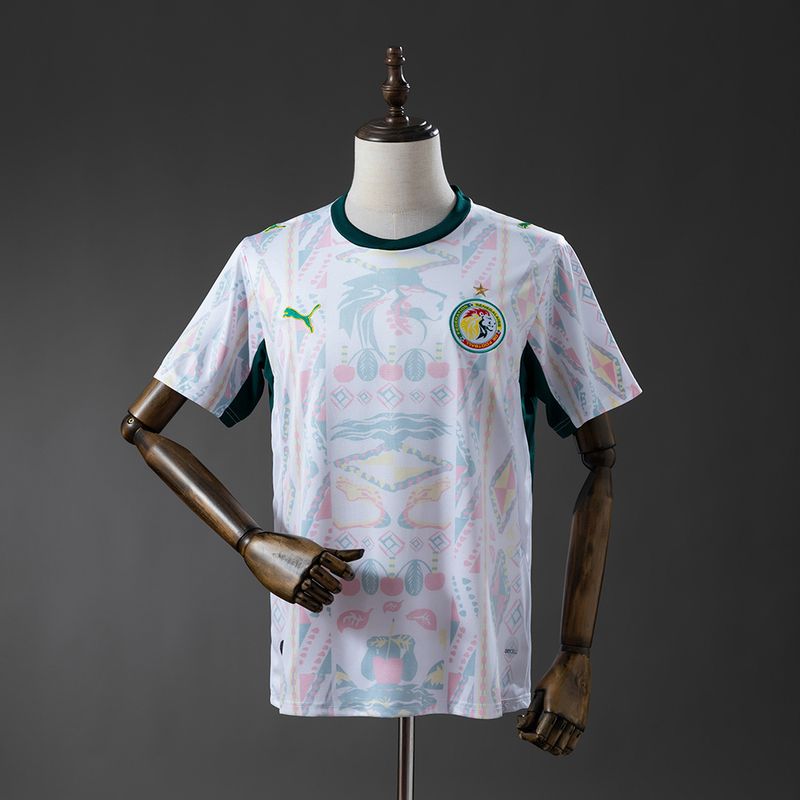 Senegal 2026 Home Fan - WCFOOTBALLSUIT