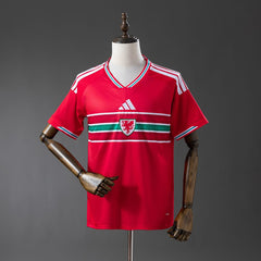 Wales national 2026 Home Fan - WCFOOTBALLSUIT
